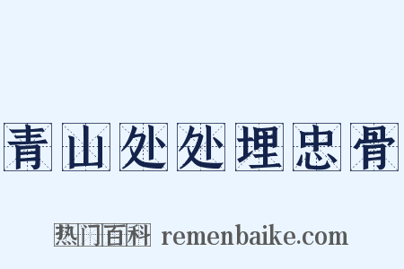 青山处处埋忠骨是什么意思的图片